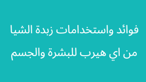 فوائد واستخدامات زبدة الشيا من اي هيرب للبشرة والجسم