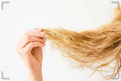 علاج الشعر الجاف - افضل روتين لجفاف الشعر
