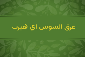 عرق السوس اي هيرب | افضل 7 يجب تجربتها 2025